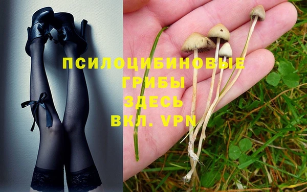 амфетамин Каменногорск