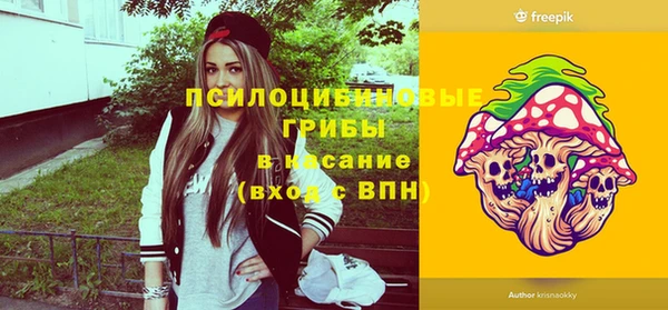 метадон Инсар
