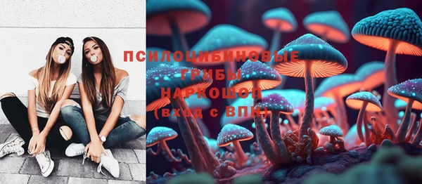 ALPHA PVP Иннополис