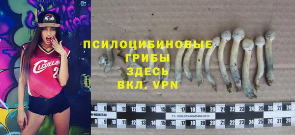 стафф Шали