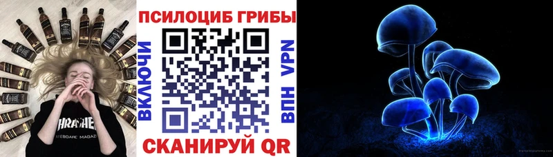 Псилоцибиновые грибы GOLDEN TEACHER  как найти наркотики  Сольвычегодск 